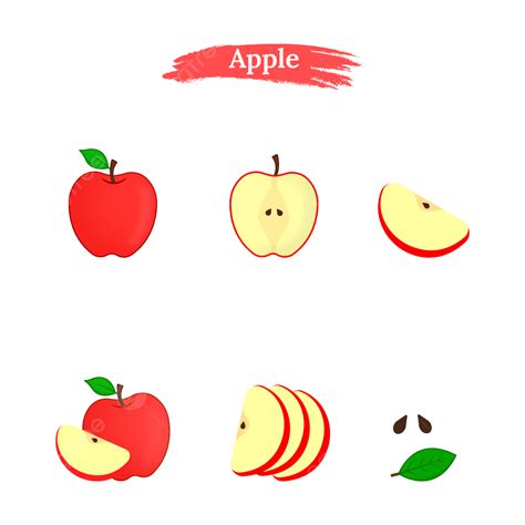 Red Apple Slice Vector Hd Png Images Set Of Red Apple With Slices Vector Illustration Apple