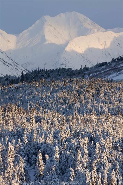 Winter in Alaska | Photos by Ron Niebrugge