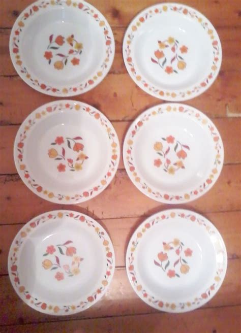 Assiettes Vintage Arcopal Lot De 6 Assiettes Creuses Luckyfind