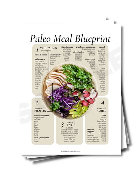 Paleo Diet Handout Bundle — Functional Health Research Resources — Made Whole Nutrition