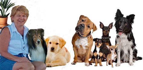 Our Pet And Home Care Rates Personal Pet And Home Care