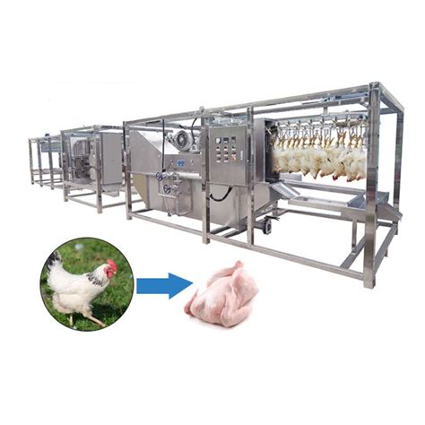 500BPH Poultry Chicken Compact Slaughter Line For Mobile Slaughterhouse