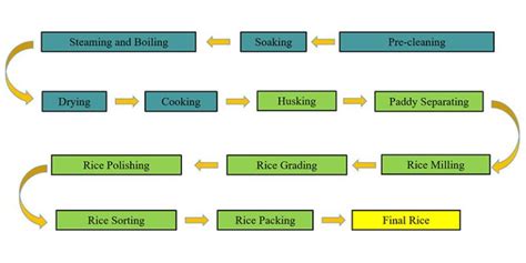 Leading Paddy Parboiling Plants Parboiled Rice Mill Plants Manufacturer