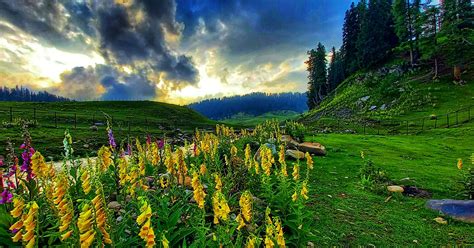 Book Srinagar Gulmarg Pahalgam Sonamarg Doodhpathri Waterfall Point