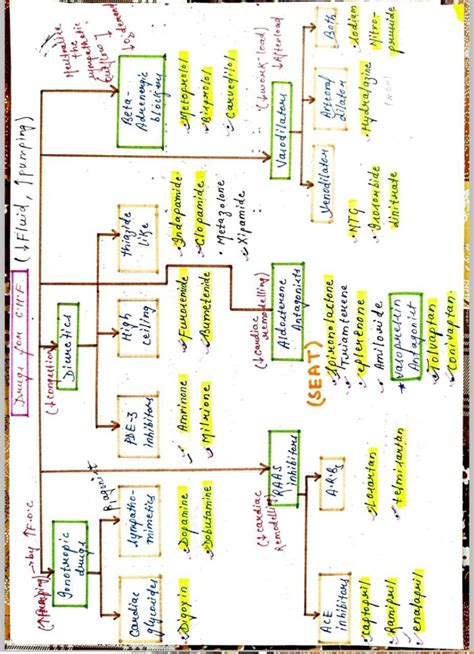 Cardiac Pharmacology Notes Pdf Mbbs Handwritten Notes