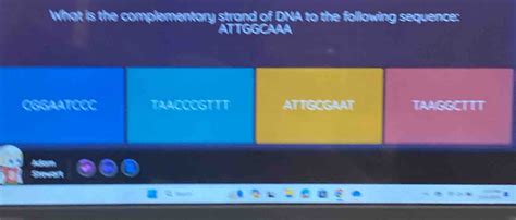 Solved What Is The Complementary Strand Of Dna To The Following