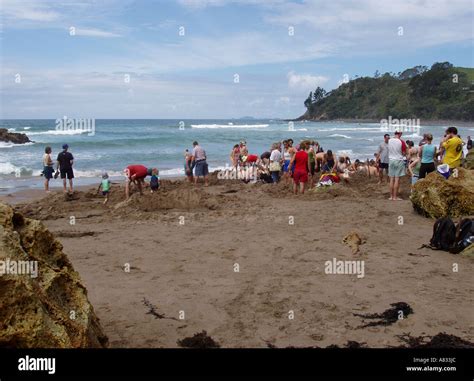 Hot Water Beach, Hahei Stock Photo - Alamy