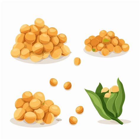 Premium Vector Chick Pea Vector Illustration With A Geometric Style