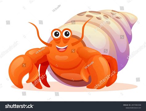 Cute Hermit Crab Pictures Compare Cheap Th