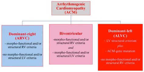 Cardiogenetics Free Full Text Pathogenesis Diagnosis And Risk