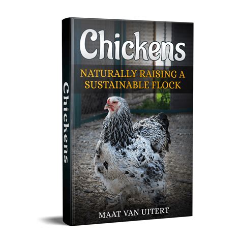 Chickens As Pets The Best Therapy Yet