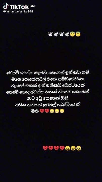 බෙස්ටියක් වෙන්න කැමති කෙනෙක් ඉන්නවනම් වට්ස් ඇප් නම්බර් එක දෙන්නකො දැන්