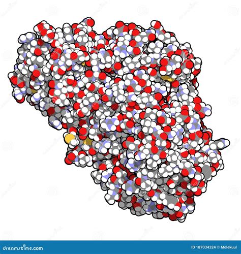 Ricin Castor Bean Plant Poisonous Protein, Chemical Structure Stock Illustration - Illustration ...