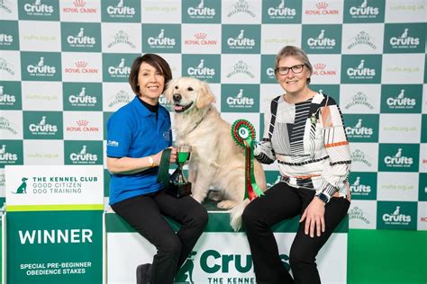 Crufts 2024 Wakefield Golden Retriever And Owner Take Home First Prize