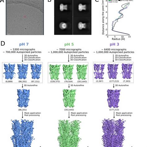 Supplement 1 Cryo Em Image Processing Pipeline A Representative