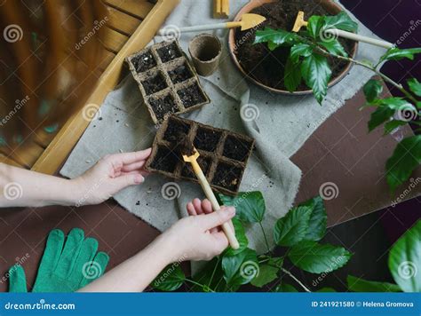 Process Of Planting Seeds In Eco Friendly Containers Gardening Tools