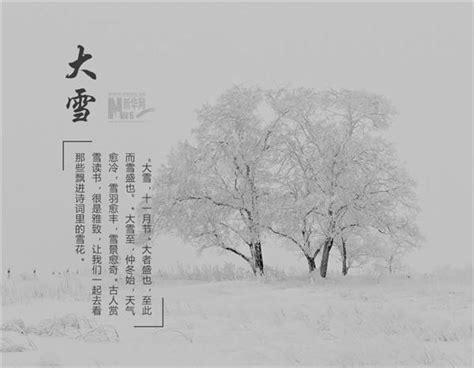 雪的诗句 唯美雪景的说说 伤感说说吧