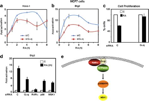 Gαq Is Required For The Ra Induction Of The Hoxa1 And Btg2 Genes And Download Scientific