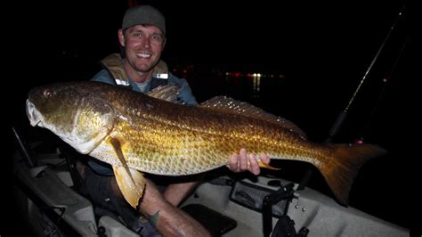 Mike Sight Casting Bull Reds With Emerald Waters Kayak Charters Youtube