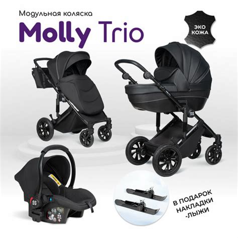 Коляска для новорожденных 3 в 1 Farfello Molly Trio, экокожа черный ...