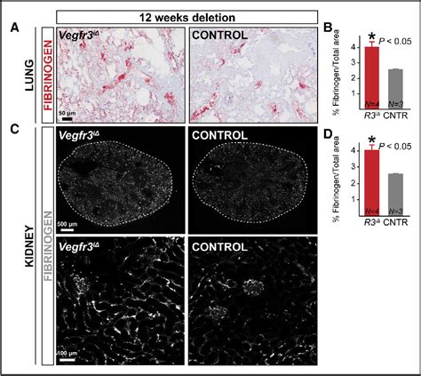 Figure From Vegfr Modulates Vascular Permeability By Controlling