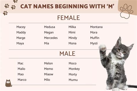 Names For Cats Female Doloris Fournier