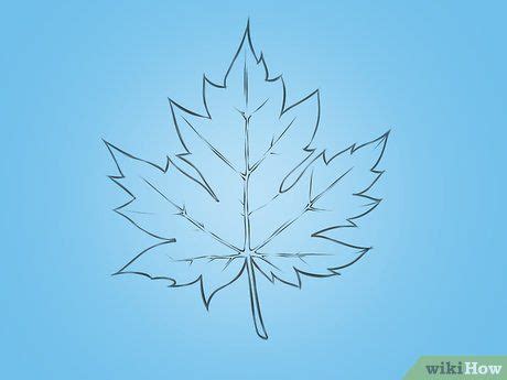 How To Draw A Maple Leaf 12 Steps With Pictures Artofit