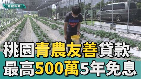 免 利息全台最優！ 桃園青農貸款最高500萬5年免息 Youtube