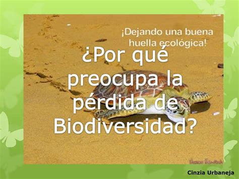 Cambio Climático Afecta La Biodiversidad Venezolana