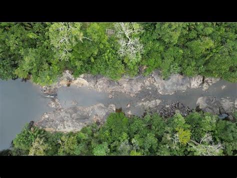 Um Riozinho No Meio Na Floresta Pode Guardar Um Grande Tesouro