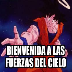 Meme Personalizado BIENVENIDA A LAS FUERZAS DEL CIELO 33174581