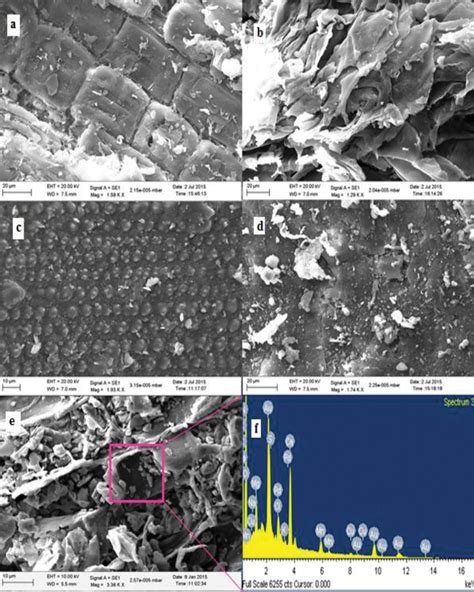 Scanning Electron Microscopy Sem Images Of The Biosorbents A Bc