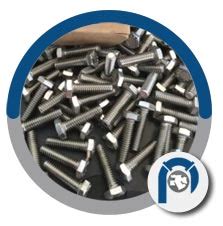 Stainless Steel Hex Bolts | Heavy hex head bolts and screws suppliers UAE