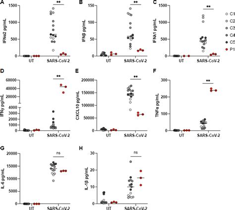 Cytokine Responses In Patient Pbmcs Upon Sars Cov 2 Infection Ah