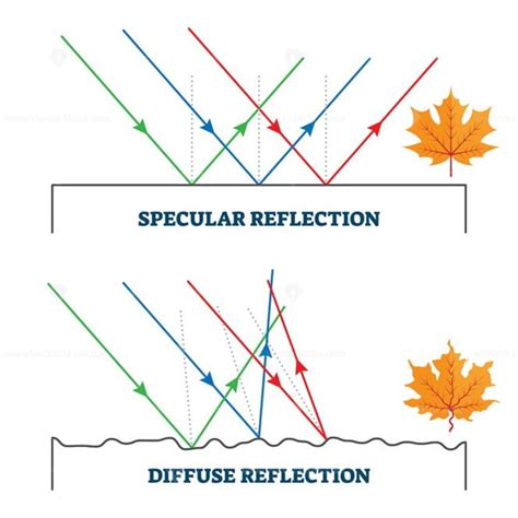 Specular and diffuse reflection, vector illustration diagram - VectorMine