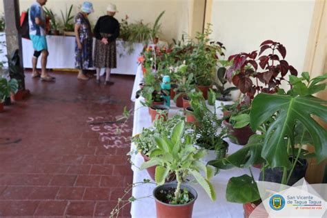 Feria De Flores Y Plantas Ya Est Funcionando En Cercan As Del Monstruo