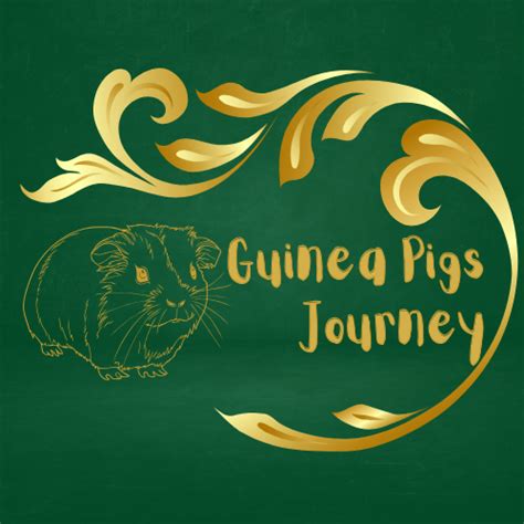 Piggy Portraits Guinea Pigs Journey