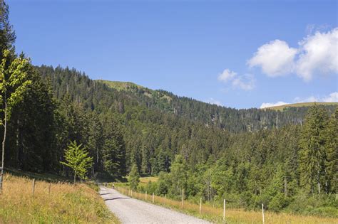 schönsten Radtouren am Titisee Outdooractive