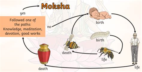 Reincarnation Cycle Hinduism