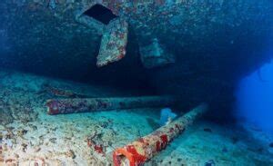 Diving Prinz Eugen In Bikini Master Liveaboards