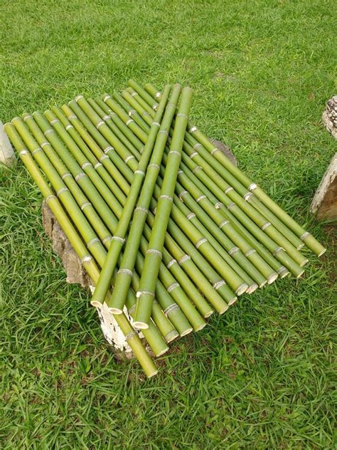 Vara De Bambu Verde Kit Unidades Cm Parcelamento Sem Juros