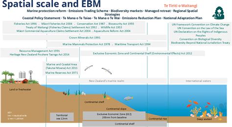 Scalesensitive Marine Law And Policy Design Towards Ecosystembased