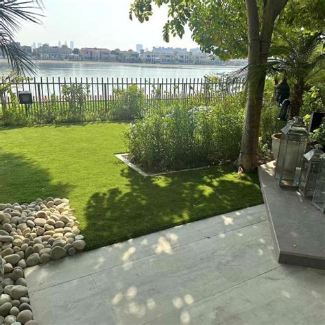 Residential Landscaping Dubai Standard Turf