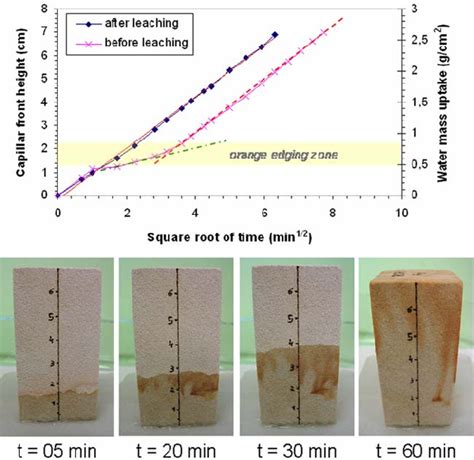 imbibition curves    washing  photographs