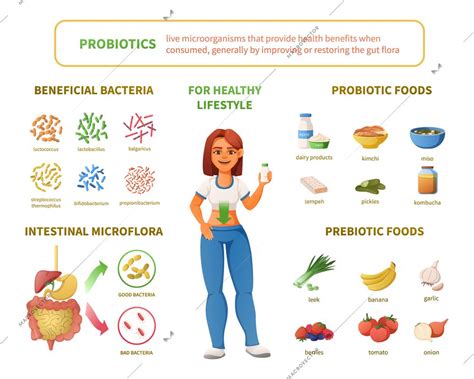 Probiotics Infographics Cartoon Set With Female Character Surrounded By