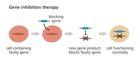 Gene Therapy Sheas Blog