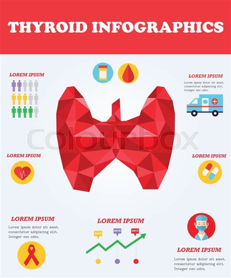 Thyroid Infographics Medical Concept Stock Vector Colourbox