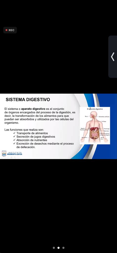 ESTUDIO ESTRUCTURAL Y FUNCIONAL DEL SER HUMANO Estudio Estructural Y