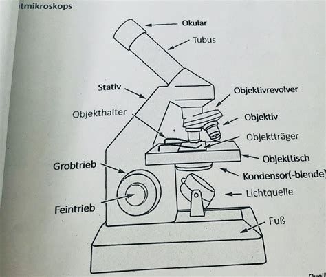 Lichtmikroskop Diagram Quizlet