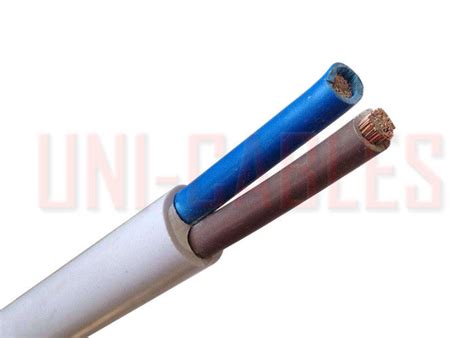 450 750V RVV PVC Electrical Cable Class 2 Copper Conductor Insulated